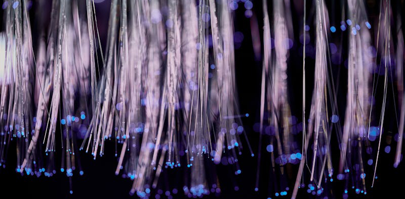 Glowing fiber optic lights with purple and blue bokeh