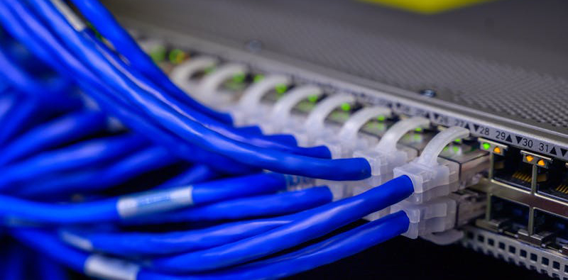 Blue ethernet cables connected to a network switch